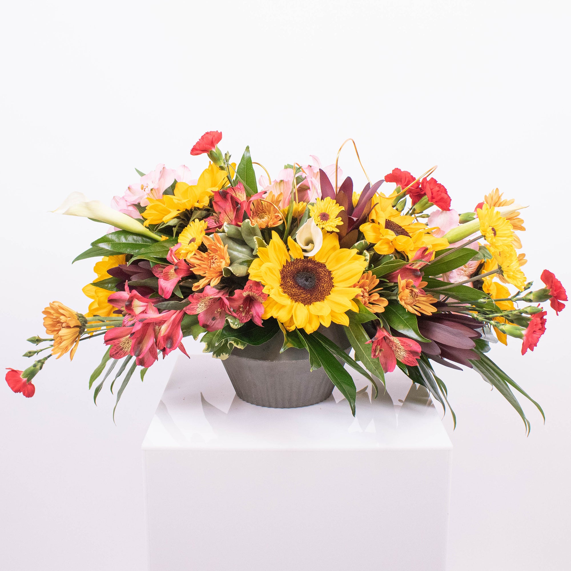 Sunflower DIY Flower Box