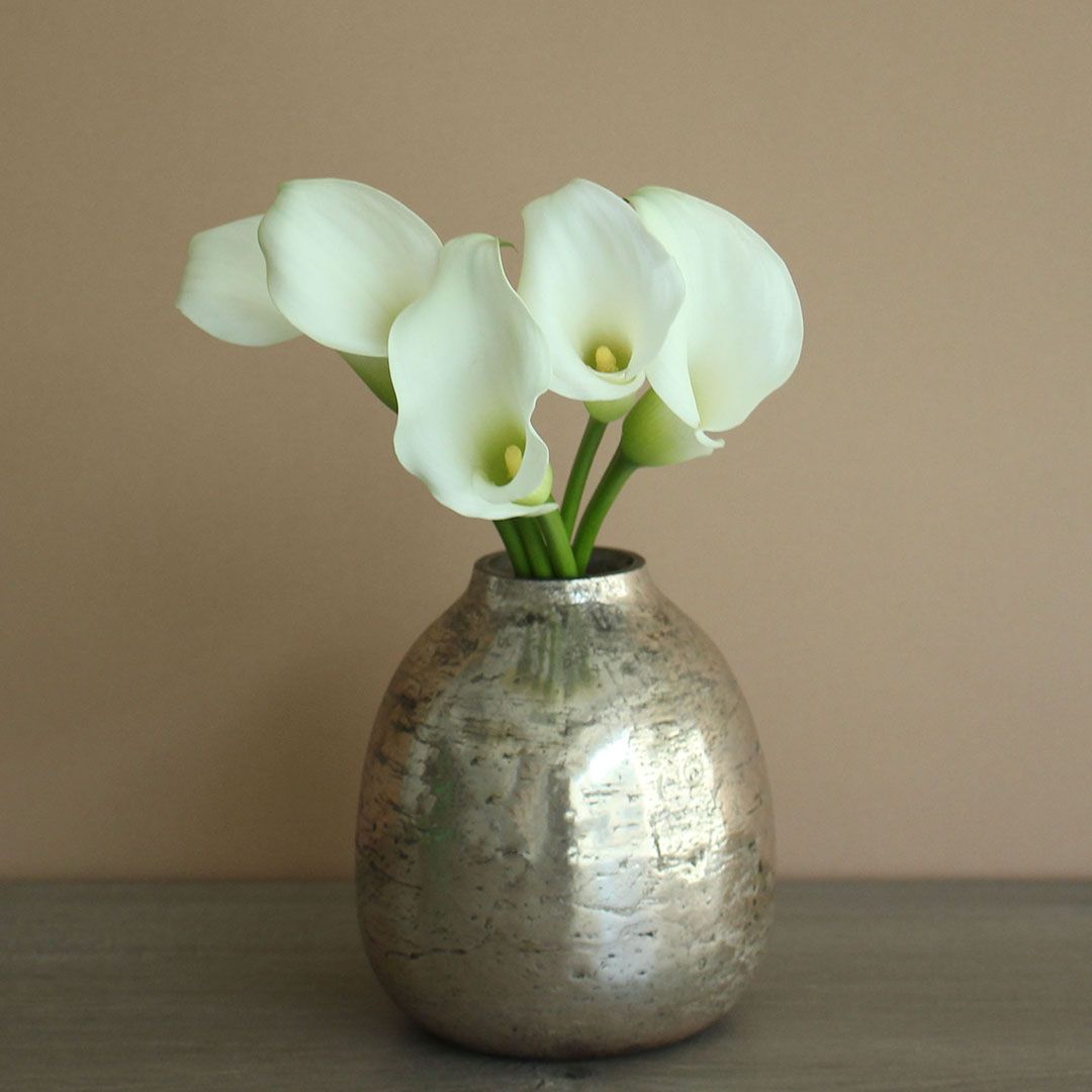 The Elegance And Care Of Calla Lilies