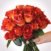 Caffè Mocha Coffee Break Roses