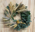 Monthly Wreath Subscription
