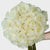Heavenly White Snow Bliss Roses