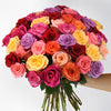 Oh Baby 50 Rainbow Roses