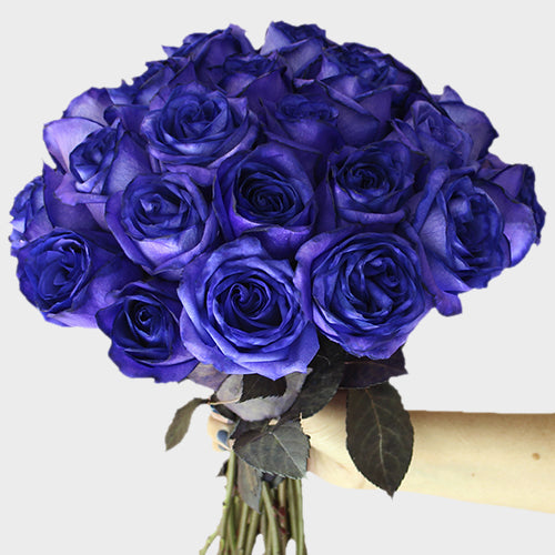 Sweet Dreams Tinted Purple Roses