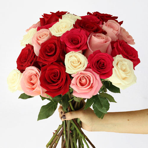 Wink Wink Roses