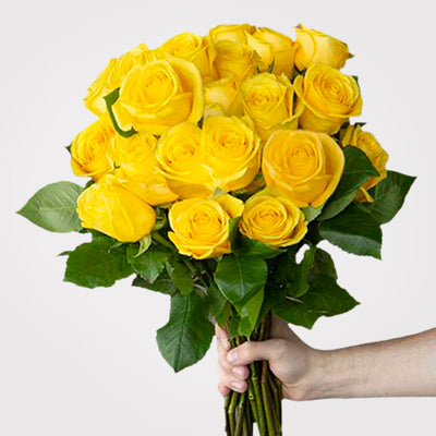 Choose Your Color Roses