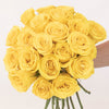 Butterscotch Yellow Roses