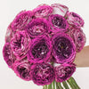 Mercury Moon Purple Garden Roses