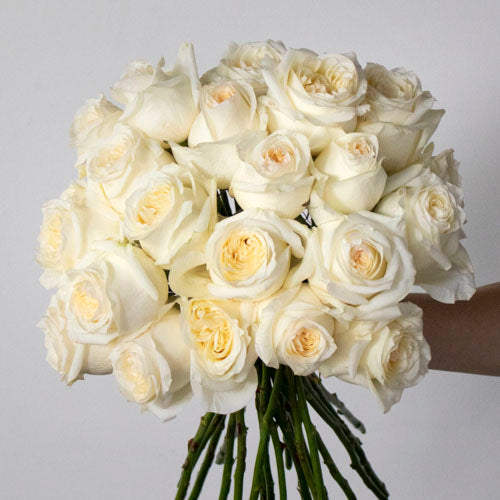 Silk Sheets Candlelight Roses