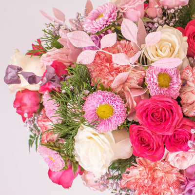 Pristine Pink Carnation Online Flower Class