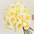 Lemon Chiffon Creamy Ivory Roses