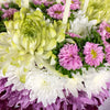 Have Your Cake DIY Flower Arrangement Kit