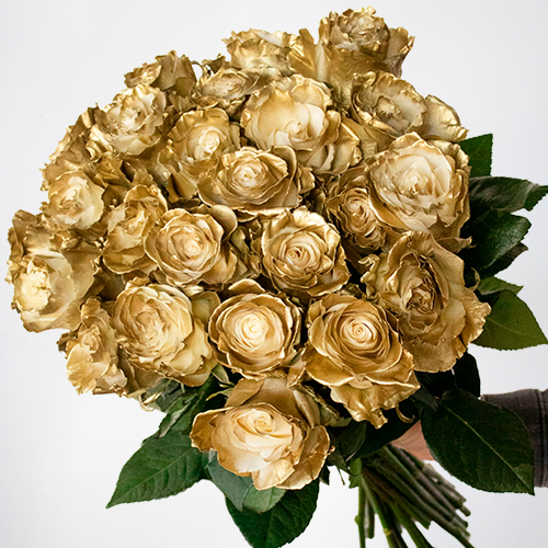 Gold Plated Tinted Roses