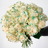 Lucky You Splattered White Roses