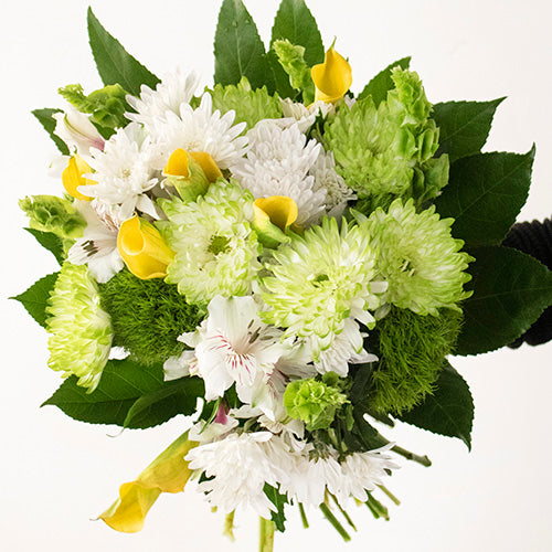 Rise and Shine Green and White Flower Bouquet