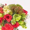 Sleigh Bells Ring Online Flower Class