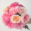 All Things Pink Assorted Mayra Garden Roses