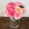 All Things Pink Assorted Mayra Garden Roses