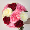Shades of Love Red and Pink Mayra Garden Roses