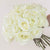 Fresh Powder White Roses