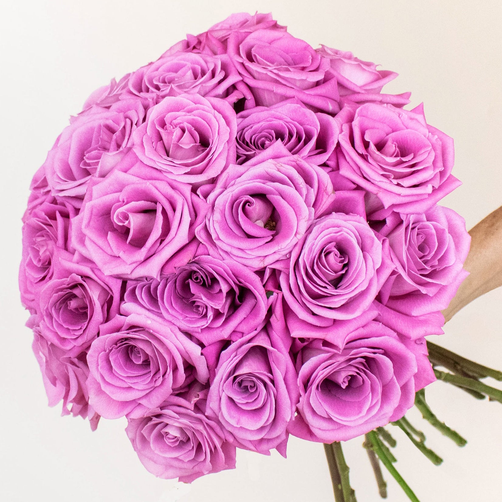 Amethyst Pinky Purple Roses