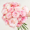 Cotton Candy Dream Pink Roses