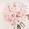 Blush At First Sight Pink Roses