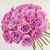 Lost Jewels Pink Garden Roses