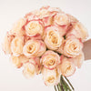 Spanish Nights Creamy Peach Roses