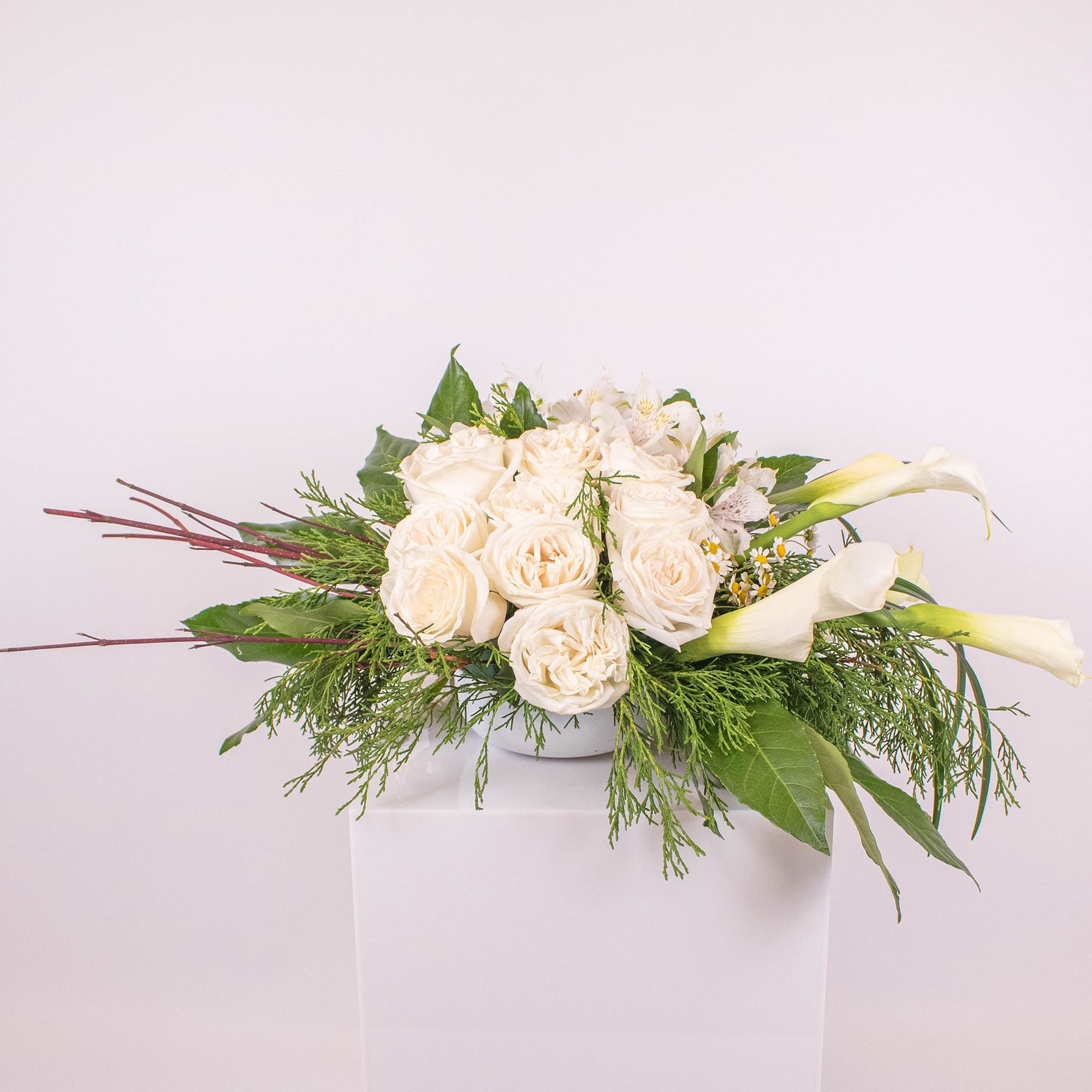Snow Day Online Flower Class