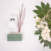 Snow Day Online Flower Class