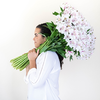 Stop and Stare Alstroemeria Spiral Bouquet