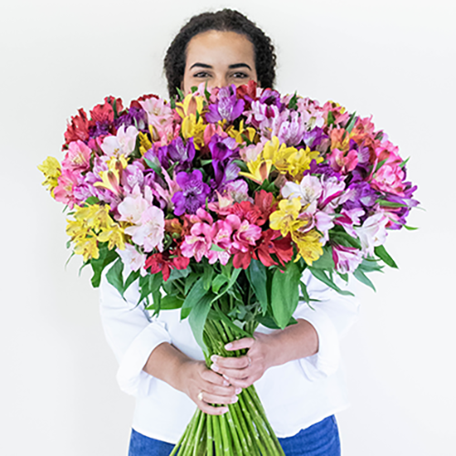 Stop and Stare Alstroemeria Spiral Bouquet