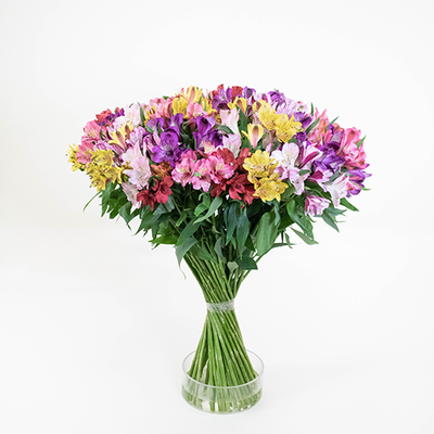 Stop and Stare Alstroemeria Spiral Bouquet