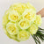 Margarita Mix Green Roses