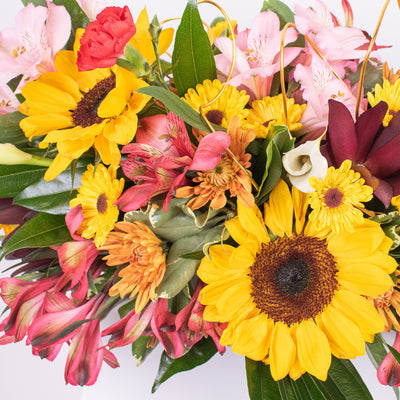 Sunflower DIY Flower Box